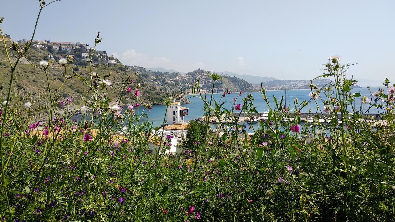 Lovely House With Views In Marina Del Este Almuñécar エクステリア 写真